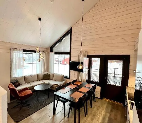 Sointuilevi 1b By Aavalevi