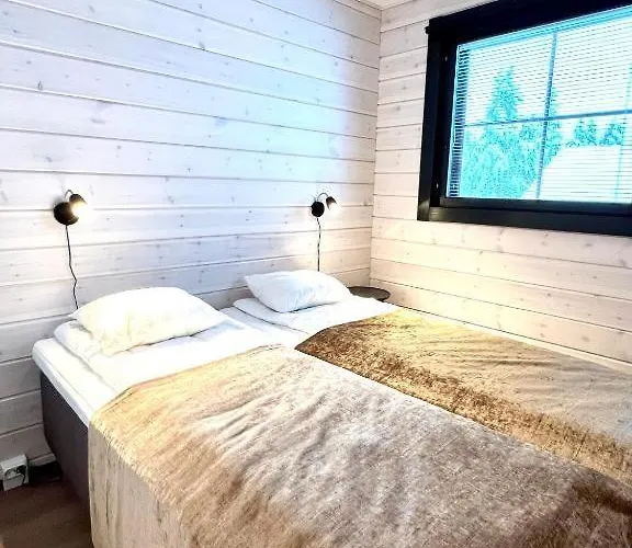 Sointuilevi 1b By Aavalevi Levi